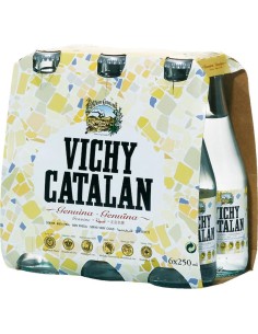 AGUA VICHY  30 CL NO RETORNABLE PAK 6 BTLL