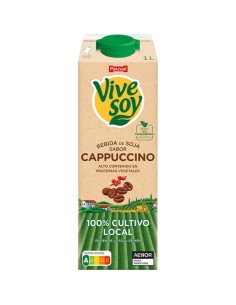 LECHE SOJA PASCUAL VIVESOY CAPPUCHINO 1 L